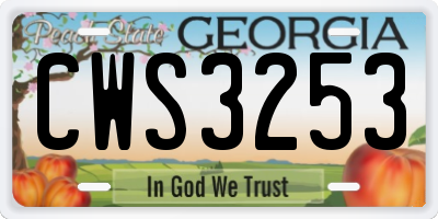 GA license plate CWS3253