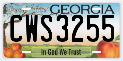 GA license plate CWS3255