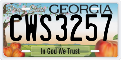 GA license plate CWS3257