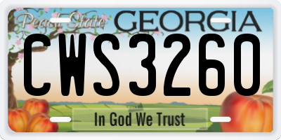 GA license plate CWS3260