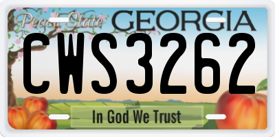 GA license plate CWS3262