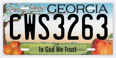 GA license plate CWS3263