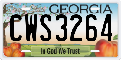 GA license plate CWS3264