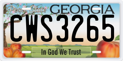 GA license plate CWS3265