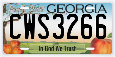 GA license plate CWS3266