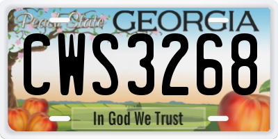 GA license plate CWS3268