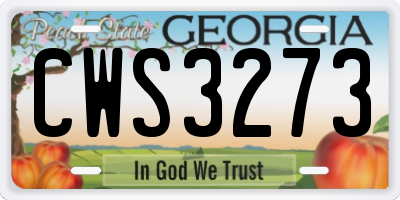 GA license plate CWS3273