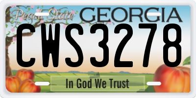 GA license plate CWS3278