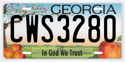 GA license plate CWS3280