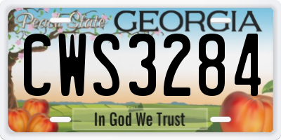 GA license plate CWS3284