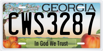 GA license plate CWS3287