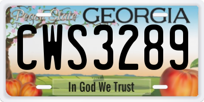 GA license plate CWS3289