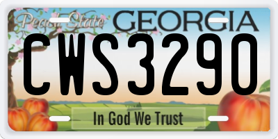GA license plate CWS3290
