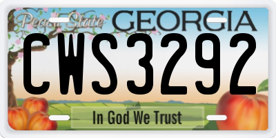 GA license plate CWS3292