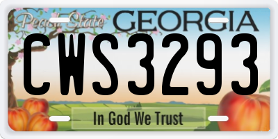 GA license plate CWS3293