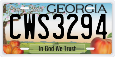 GA license plate CWS3294