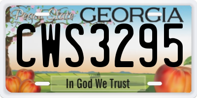 GA license plate CWS3295