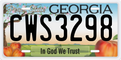 GA license plate CWS3298