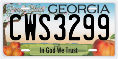 GA license plate CWS3299