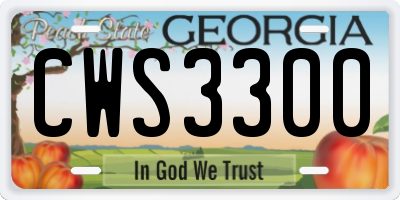 GA license plate CWS3300