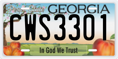 GA license plate CWS3301