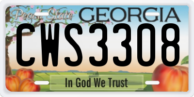 GA license plate CWS3308