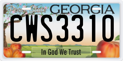 GA license plate CWS3310