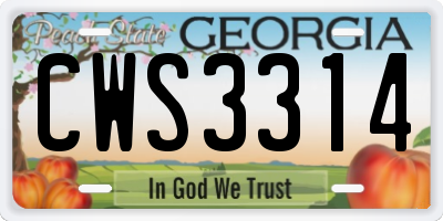GA license plate CWS3314