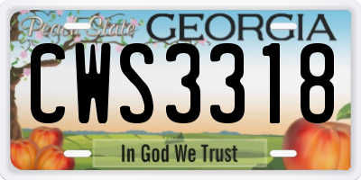 GA license plate CWS3318