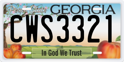 GA license plate CWS3321