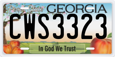GA license plate CWS3323