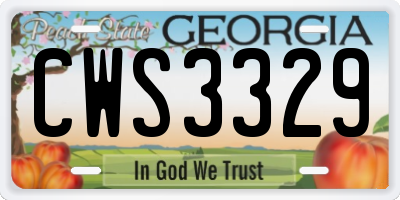 GA license plate CWS3329