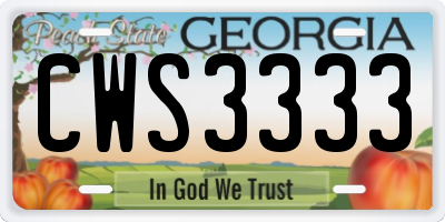 GA license plate CWS3333