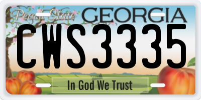 GA license plate CWS3335