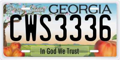 GA license plate CWS3336