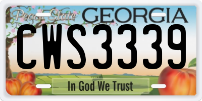 GA license plate CWS3339
