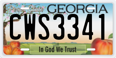 GA license plate CWS3341