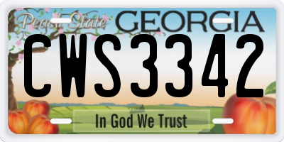 GA license plate CWS3342