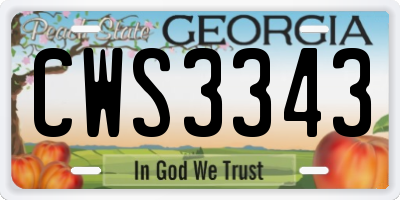 GA license plate CWS3343