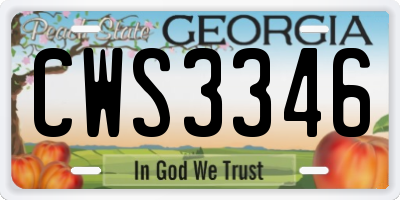 GA license plate CWS3346