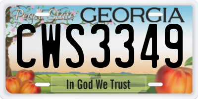 GA license plate CWS3349