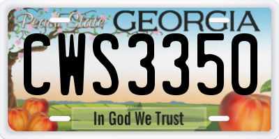 GA license plate CWS3350