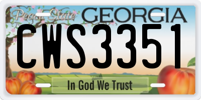 GA license plate CWS3351
