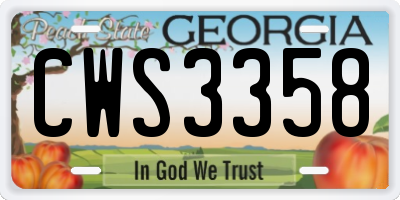 GA license plate CWS3358