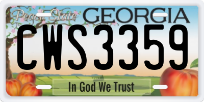 GA license plate CWS3359