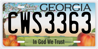 GA license plate CWS3363