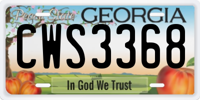GA license plate CWS3368