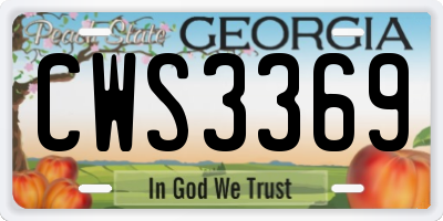 GA license plate CWS3369