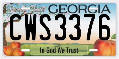 GA license plate CWS3376