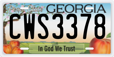 GA license plate CWS3378